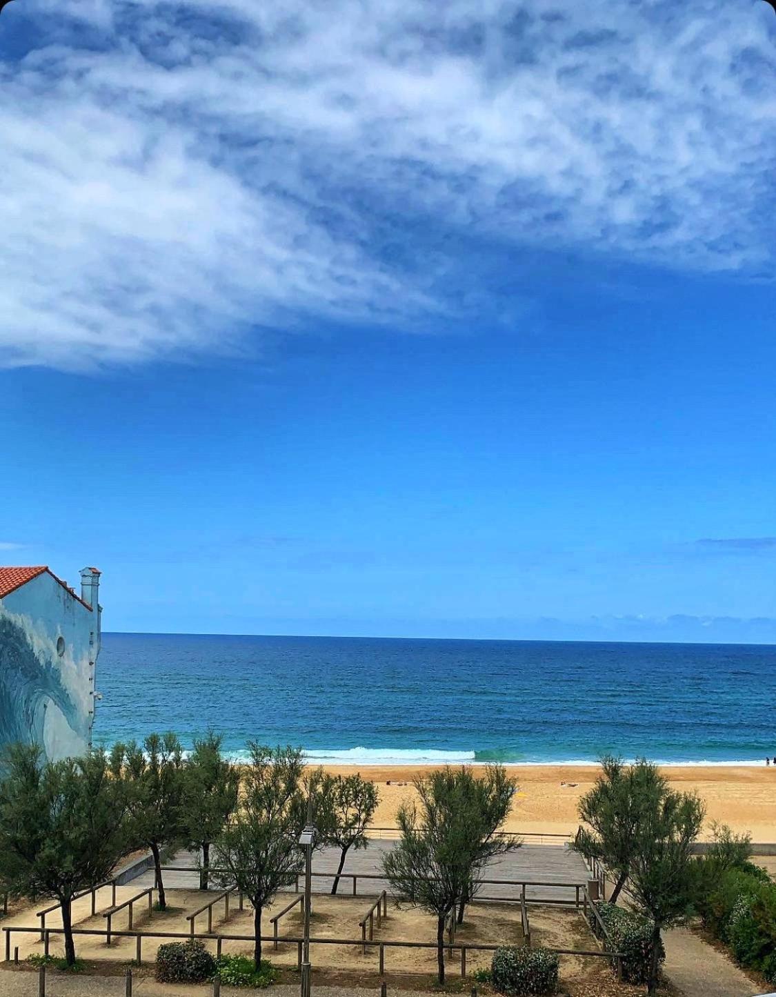 Ancre - Appartement De Vacances Vue Mer Soorts-Hossegor Eksteriør billede